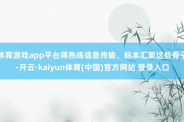 体育游戏app平台得熟练信息传输、标本汇聚这些骨子-开云·kaiyun体育(中国)官方网站 登录入口