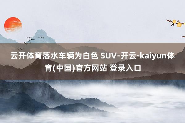 云开体育落水车辆为白色 SUV-开云·kaiyun体育(中国)官方网站 登录入口